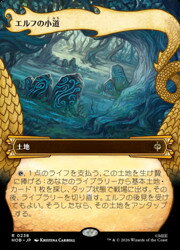 楽天市場】mtg エルフ（トレーディングカード・テレカ｜コレクション