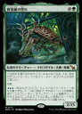 【MTG】(JPN) 育殻組の誉れ(MKM) 緑◇神話レア