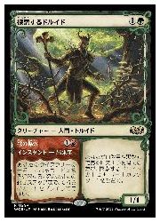 楽天市場】探索するドルイドの通販