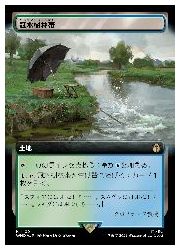 Rakuten - 【MTG】(ENG)(拡張アート)(サージFOIL) 冠水樹林帯(WHO) 地◇レア