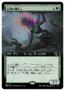 【MTG】(ENG)(拡張アート) 深根の道探し(MOM) 緑◇レア