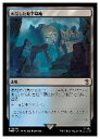 【MTG】(JPN)(FOIL) 水没した地下墓地(WHO) 地◇レア