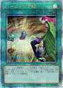 【遊戯王】ハーピィの狩場(25thS)(QCCP-JP128)◇
