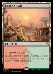 楽天市場】踏査 mtgの通販