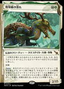 【MTG】(JPN)(ショーケース) 育殻組の誉れ(MKM) 緑◇神話レア