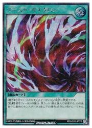 ͷ åǥ奨Сȡ!(S)(RD/HC01-JP010)