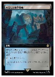 【MTG】(JPN)(拡張アート)(サージFOIL) 水没した地下墓地(WHO) 地◇レア