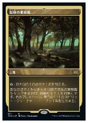 【MTG】(JPN)(エッチングFOIL) 禁忌の果樹園(2x2) 地◇レア