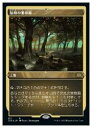 【MTG】(JPN)(エッチングFOIL) 禁忌の果樹園(2x2) 地◇レア