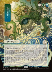 楽天市場】mtg 日本 レア 白の通販