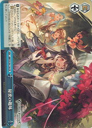 乐天商城 - 【ヴァイスシュヴァルツ】(GBF) 秘密の趣味(CR)(S134-116)◇CR