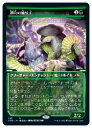 【MTG】(ENG)(ショーケース) 調和の織り手(NEO) 緑◇レア