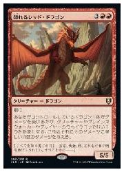 【MTG】(JPN) 怒れるレッド・ドラゴン(CLB) 赤◇レア