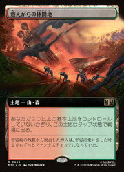 乐天商城 - 【MTG】(JPN)(拡張アート) 燃えがらの林間地(MSC) 地◇レア