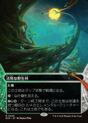 Rakuten - 【MTG】(ENG) 活発な野生林(0039)(EOS) 地◇レア