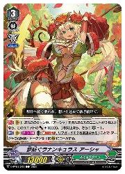 楽天市場】幻蒼のラナンキュラス アーシャ(ホビー)の通販 楽天市場】幻蒼のラナンキュラス アーシャ(ホビー)の通販