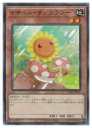 ɥޥåոŷԾŹ㤨֡ͷۥʥ롦ե(NP(SUB1-JP060ΡޥѥפβǤʤ30ߤˤʤޤ