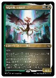 Rakuten - 【MTG】(JPN)(エッチングFOIL) 祝福の泉、シガルダ(MAT) 多◇レア
