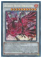 【遊戯王 英語版】Ruddy Rose Dragon(PSR)(1st)(ブラッド・ローズ・ドラゴン)◇プリズムレア