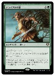 【MTG】(JPN) ドライアドの歌(CMM) 緑◇レア