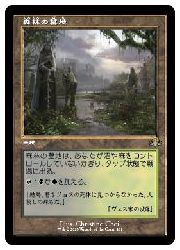 【MTG】(ENG)(旧枠) 森林の墓地(DMR) 地◇レア