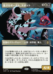 ɥޥåոŷԾŹ㤨֡MTG(JPN(ܡ쥹 ݡ롢ݥå(SPM ¿쥢פβǤʤ50ߤˤʤޤ