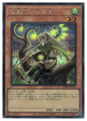 乐天商城 - 【遊戯王】霊獣使いの長老(SP)(TW01-JP127)◇