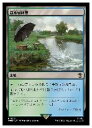 ɥޥåոŷԾŹ㤨֡MTG(ENG(FOIL (WHO ϡ쥢פβǤʤ590ߤˤʤޤ