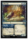 【MTG】(ENG)(ショーケース) 有角の湖鯨(WOE) 青◇レア