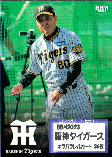 BBM2023  쥮顼ɥ饫 ץ꡼ȥå