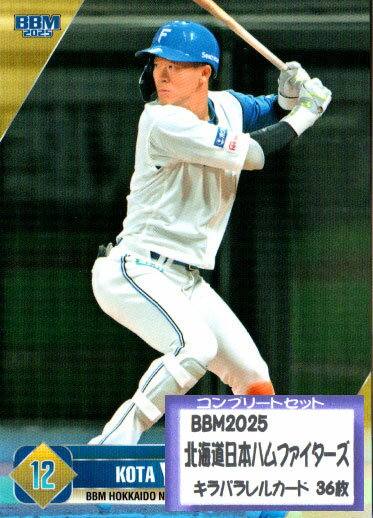 BBM2025 ̳ƻܥϥե 쥮顼ɥ饫 ץ꡼ȥå