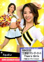 BBM2023 v싅`A[_[J[h-؁E- Tigers Girls(_^CK[Xj M[J[hRv[gZbg