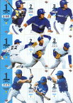 BBM2003 横浜ベイスターズ インサートカード・3 Piece Puzzle Card (No.PZ1-No.PZ9) 【 鈴木尚典 鈴木尚典 鈴木尚典 吉見祐治 吉見祐治 吉見祐治 古木克明 古木克明 古木克明 】