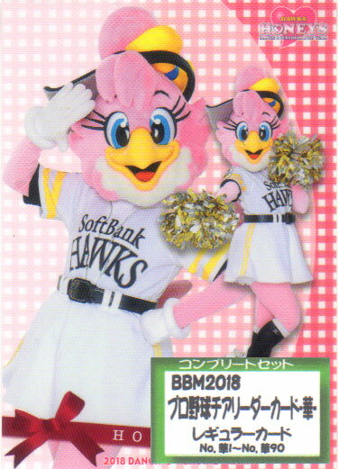 Professional Wrestling - BBM2018 プロ野球チアリーダーカード-華- レギュラーカードコンプリートセット