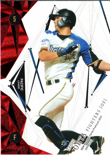 BBM2019 GENESIS/�����ͥ��� 75�����ѥ��� No.024 �����ټ�