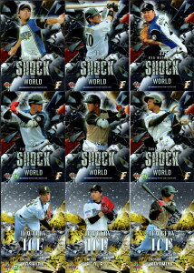 BBM2019 北海道日本ハムファイターズ インサートカード・Shock The World (No.No.SW1-No.No.SW6) ／Jewelry Ice (No.JI1-No.JI3) 【 石川直也 清水優心 渡邉諒 野村佑希 平沼翔太 万波中正 吉田輝星 堀瑞輝 清宮幸太郎 】