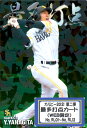 カルビー2021 第二弾 最多打点カードコンプリートセット【WEB限定】