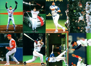 カルビー2003 プロ野球チップス チェックリスト 【 C-01 河原純一 C-02 二岡智宏 C-03 カブレラ C-04 胴上げシーン G C-05 黒田博樹 C-06 阿部慎之助 C-07 和田一浩 C-08 杉内俊哉 C-09 03オールスター 】