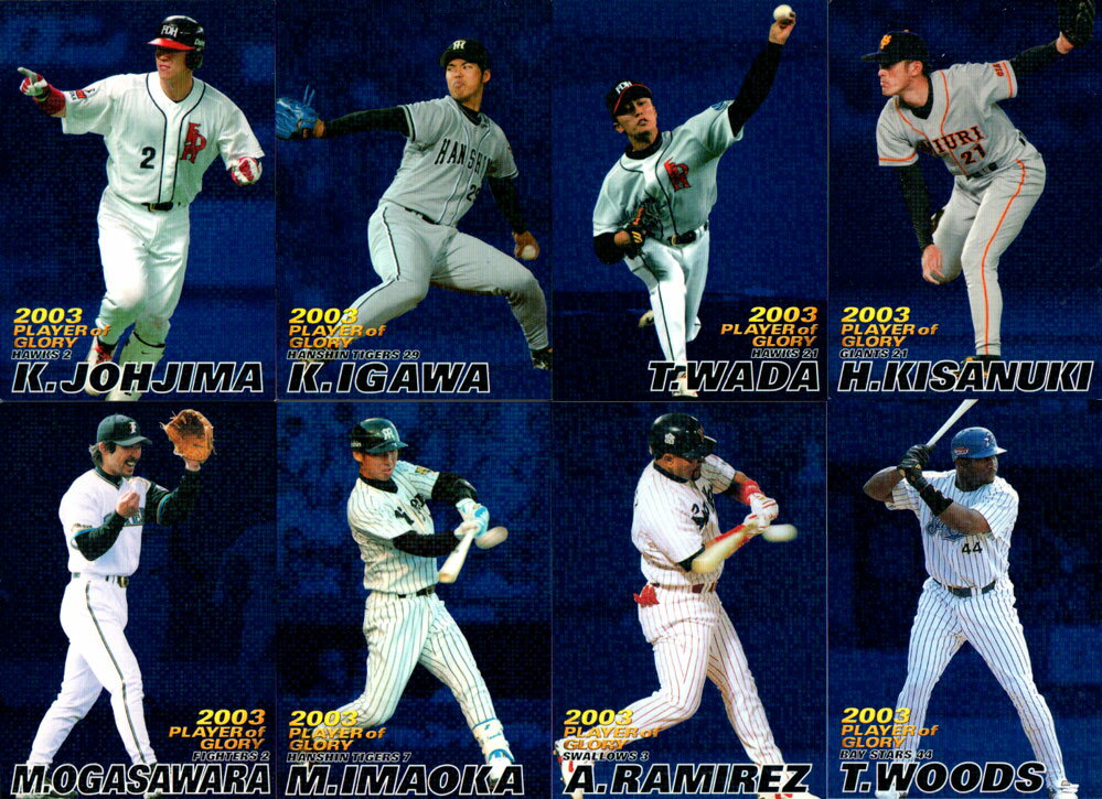 乐天商城 - カルビー2004 プロ野球チップス プレイヤー オブ グローリーカード
