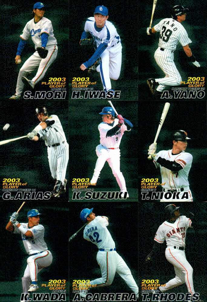 カルビー2004 プロ野球チップス プレイヤー オブ グローリーカード ブラックバックパラレル