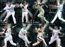 カルビー2008 プロ野球チップス 第二・三弾 スターカード (No.S-01 - No.S-48)