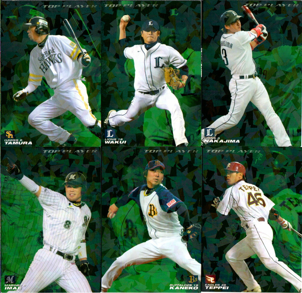 楽天市場】プロ野球チップス 中島裕之（ホビー）の通販