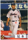 BBM2014 ヤクルトスワローズ レギュラーカード 300円カード
