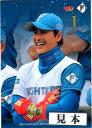 BBM2022 北海道日本ハムファイターズ レギュラーカード 150円カード(No.1-No.41)