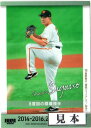 BBM2022 ベースボールカード FUSION レギュラーカード 250円以上カード(No.1-No.99/No.601-No620)