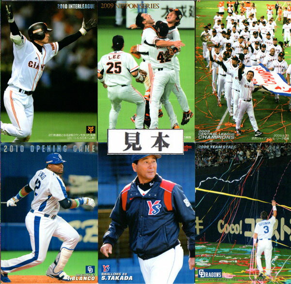 ӡ2010 ץåץ 軰 ή參ɡåꥹȥ