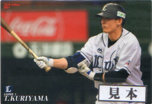 カルビー2019 プロ野球チップス レギュラーカード 150円カード(No.110-No.216)