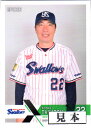 EPOCH2022 NPB プロ野球カード レギュラーカード 150円カード(No.1-No.114)