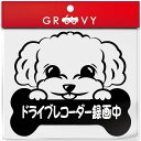 【当店オリジナルステッカー】 犬好きのためのトイプードルのシルエットステッカーです。 車のドレスアップ・ステッカーチューンにおすすめ♪ 迷惑運転 あおり運転 危険運転 安全運転 防犯 対策 予防 追突 防止 ドラレコ ドライブレコーダー 撮影中 録画中 犬好き、ペット好きに大人気！ ボディ/リアガラス/給油口などに簡単に貼れるカッティングステッカーで、安くて、初心者にもおすすめの商品です。 車用のカッコイイ・オシャレなステッカーです。 給油口に貼る場合は、サイズをよくご確認ください♪ ※図柄（シルエット）だけ残るカッティングステッカーです。 ※サイズ：サイズ画像をご確認ください。 【配送方法について】 1.送料無料の商品はゆうパケットで郵便受けへの投函となります。 2.配送に関するお問い合わせは追跡番号を元に配送業者に直接お願いします。 【おすすめ関連商品はコチラ！】 ＞＞トイプードル関連グッズはこちら＜＜ ＞＞その他の愛犬グッズはこちら＜＜