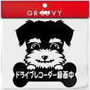 ドライブレコーダー 録画中 ミニチュア シュナウザー 犬 シール 安全運転 あおり運転 危険運転 防止 対策 防犯 車 エンブレム シール デカール アクセサリー ブランド アウトドア グッズ 雑貨 おもしろ
